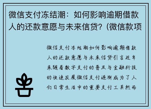 微信支付冻结潮：如何影响逾期借款人的还款意愿与未来信贷？(微信款项被冻结)