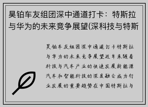昊铂车友组团深中通道打卡：特斯拉与华为的未来竞争展望(深科技与特斯拉合作)