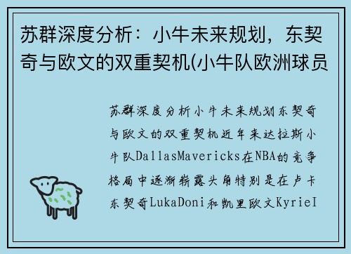 苏群深度分析：小牛未来规划，东契奇与欧文的双重契机(小牛队欧洲球员)