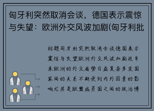 匈牙利突然取消会谈，德国表示震惊与失望：欧洲外交风波加剧(匈牙利批准)