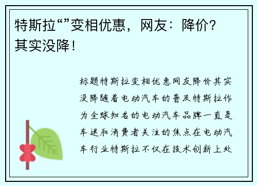特斯拉“”变相优惠，网友：降价？其实没降！